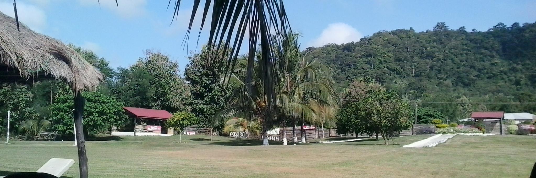 Esther Ekua Amoako banner