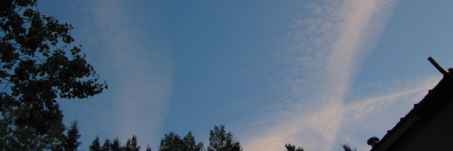 illaqueen's profile banner image