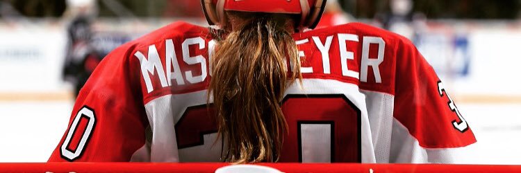 Emerance Maschmeyer banner