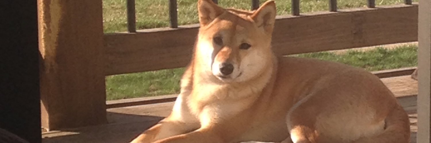 Sequoia Beauchamp banner