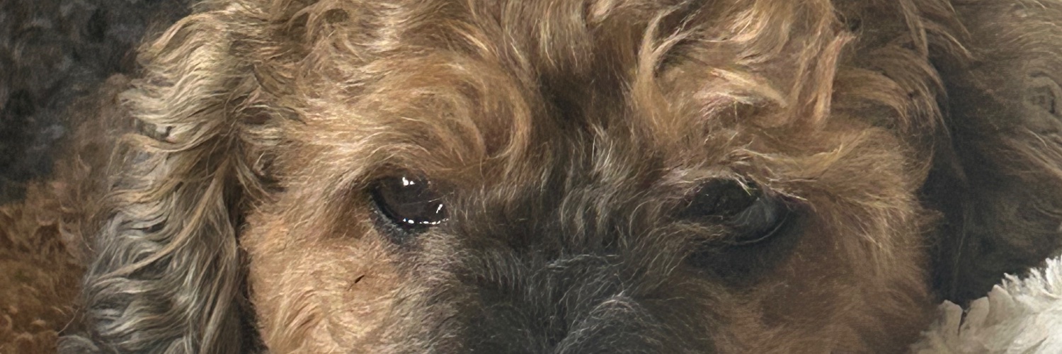 staceydabney's profile banner image