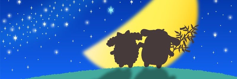 StepGeek's profile banner image