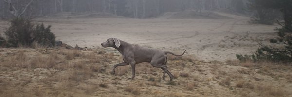 bchruslinski Profile Banner