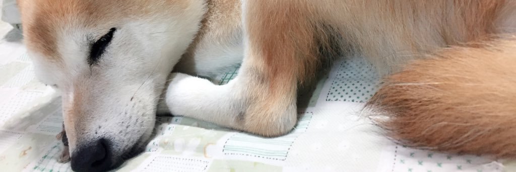 藤澤 友里 banner