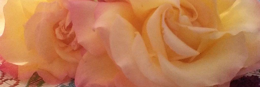 OneMadWabbit's profile banner image