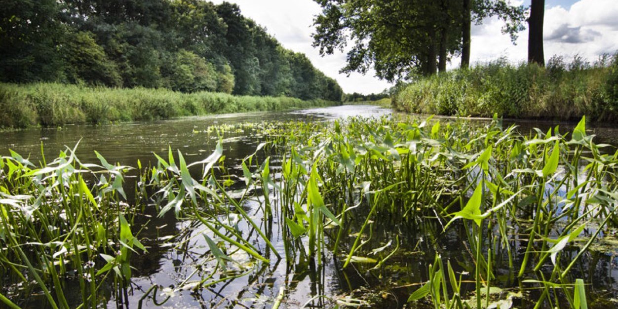 Samenwerkenaanwater banner
