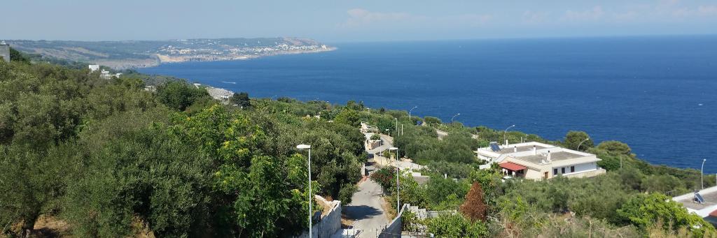 Tonino banner