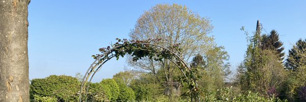 ALCattelot Profile Banner