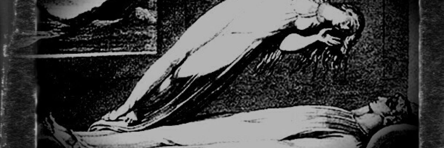 blgmtrkc's profile banner image