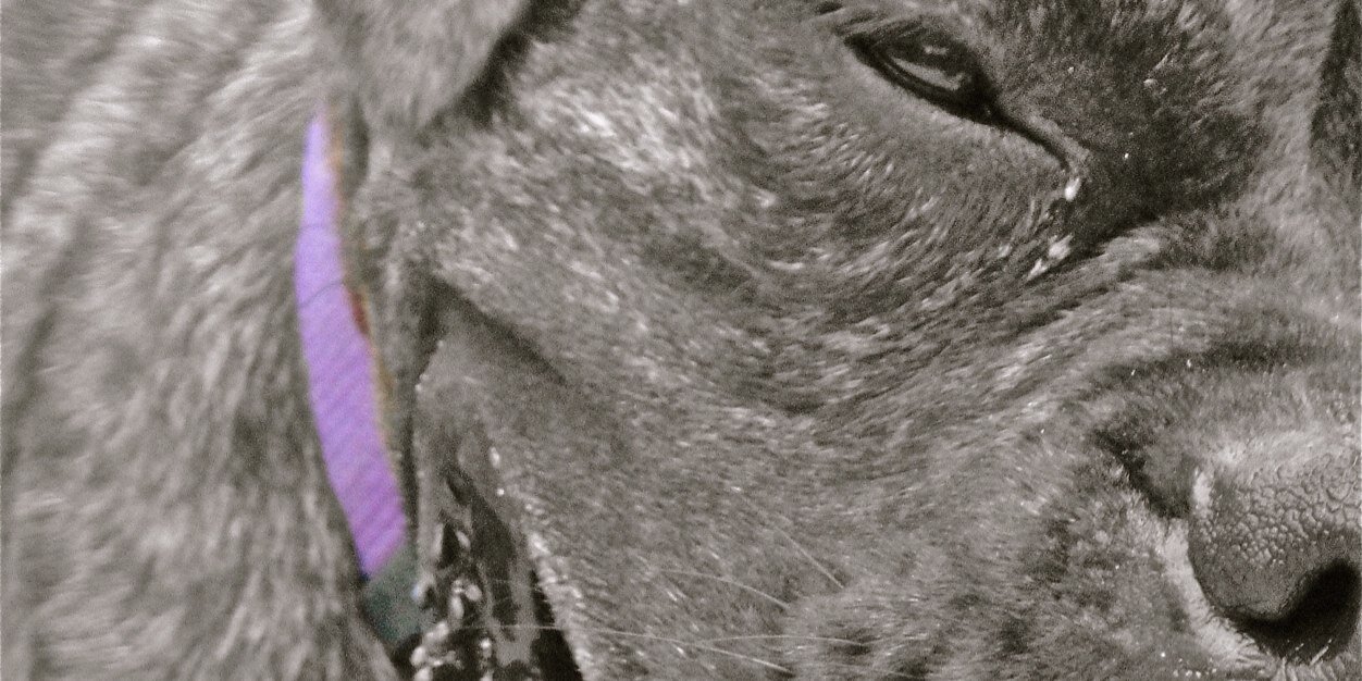 rebeccaroth23's profile banner image