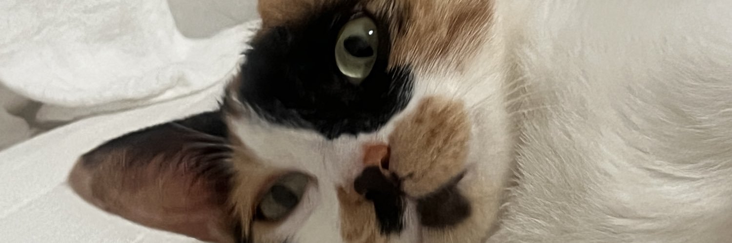 C1park's profile banner image