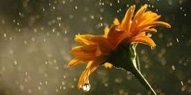gopi5194's profile banner image