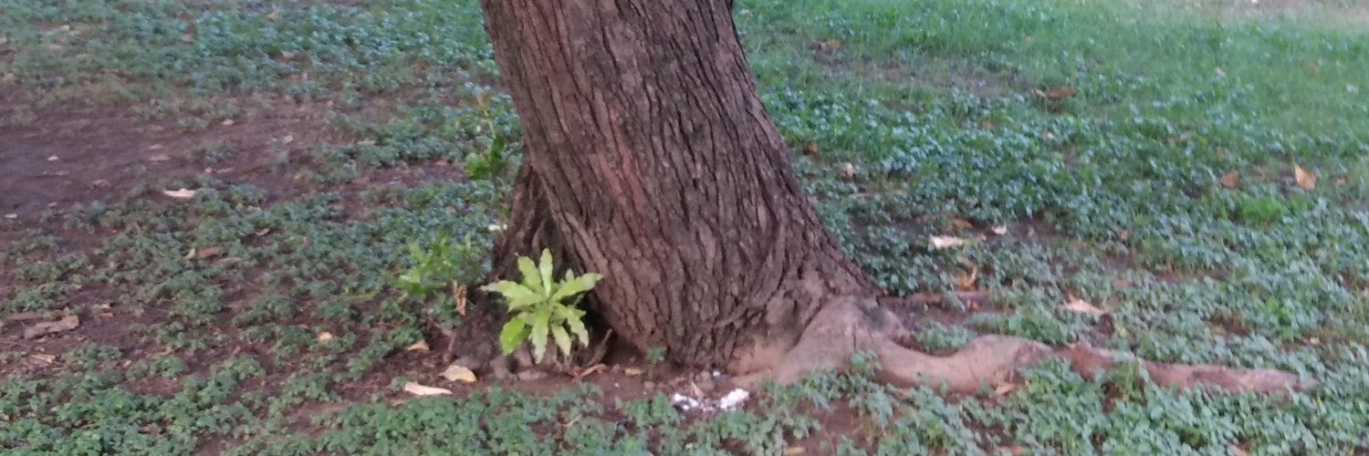 Simerdeep Kaur banner