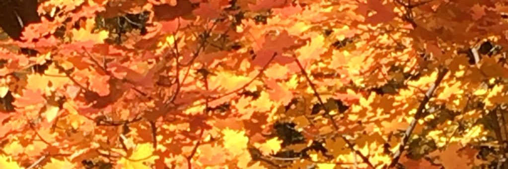 Closed Account banner