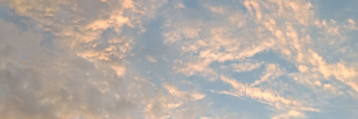 vinapony's profile banner image