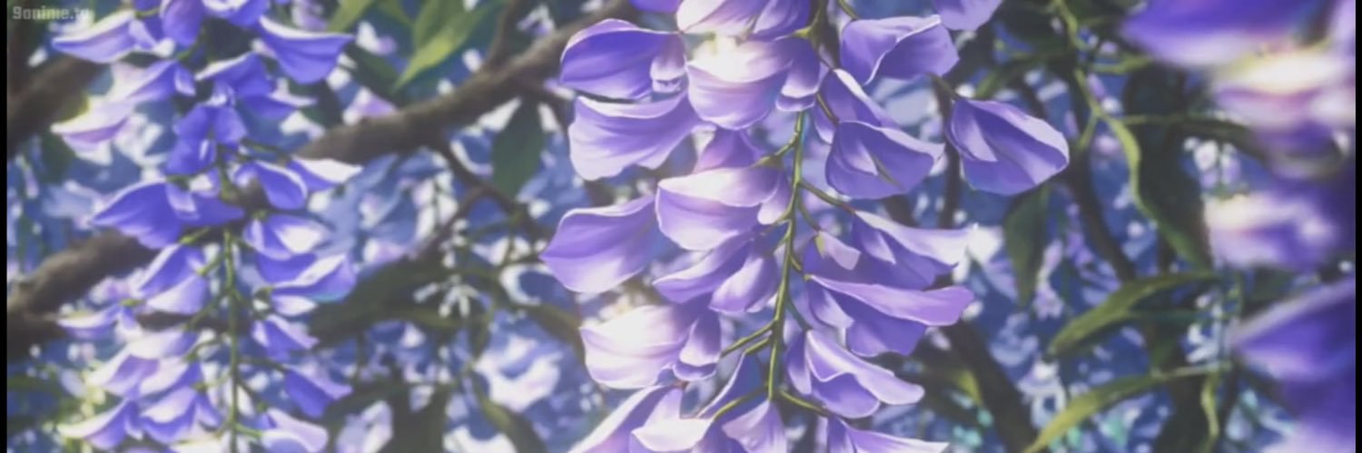 smpaet's profile banner image