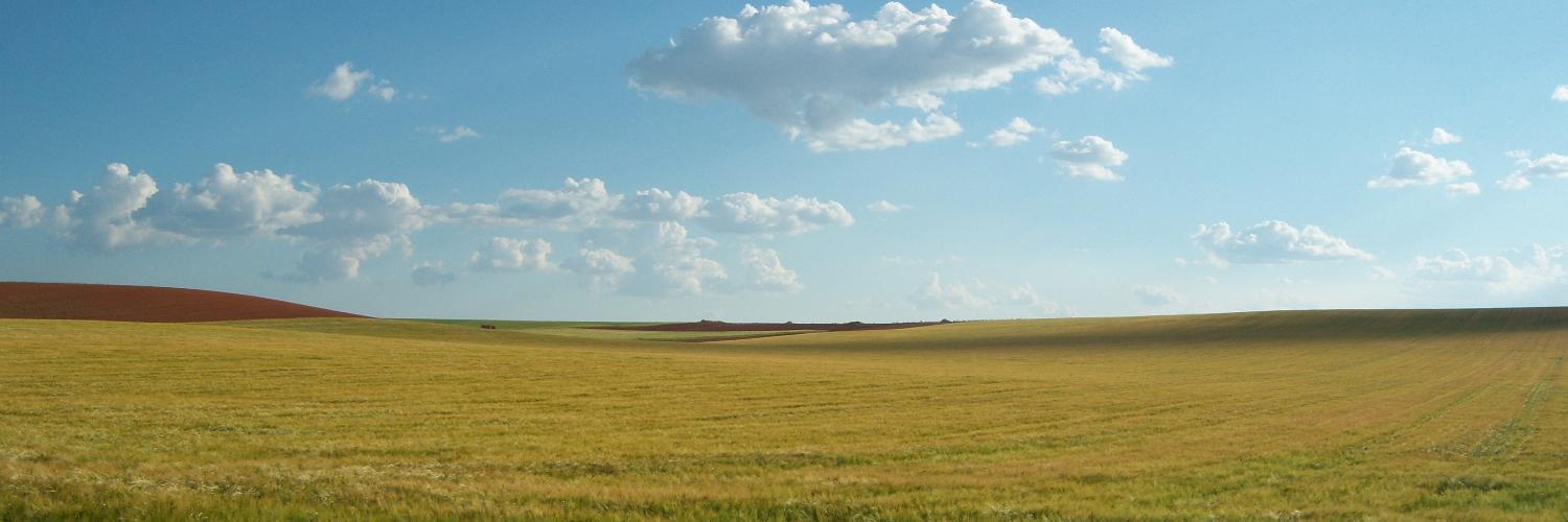 CortesTM's profile banner image