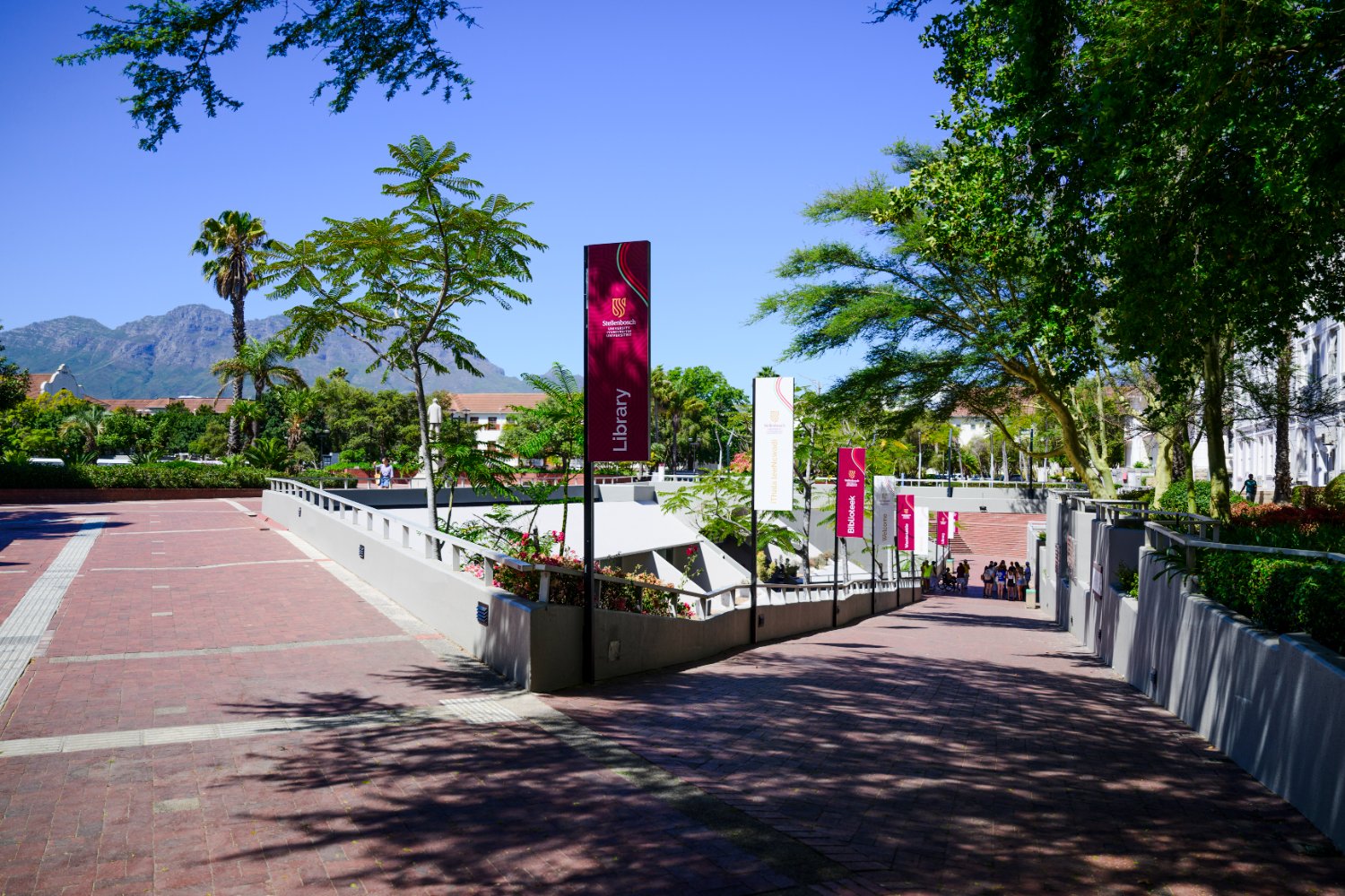 Stellenbosch University Library banner