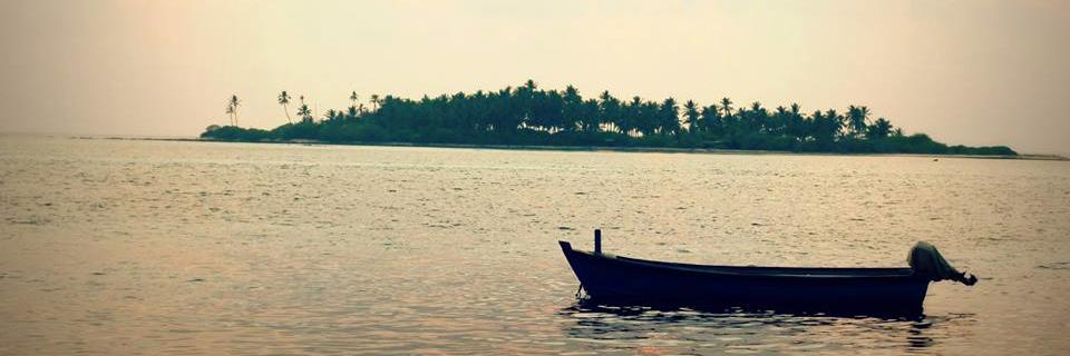 dylan_dsilva's profile banner image