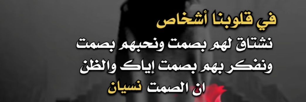 Nasser banner