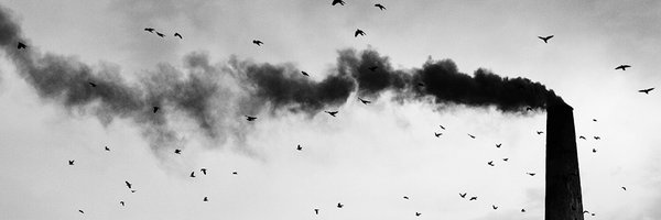 ParhamDidehvar Profile Banner