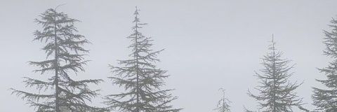 CranesInTheSky_'s profile banner image