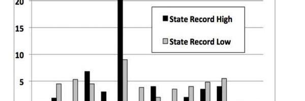 lensfocus Profile Banner