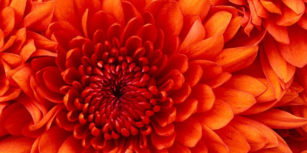 BanuPriya9's profile banner image