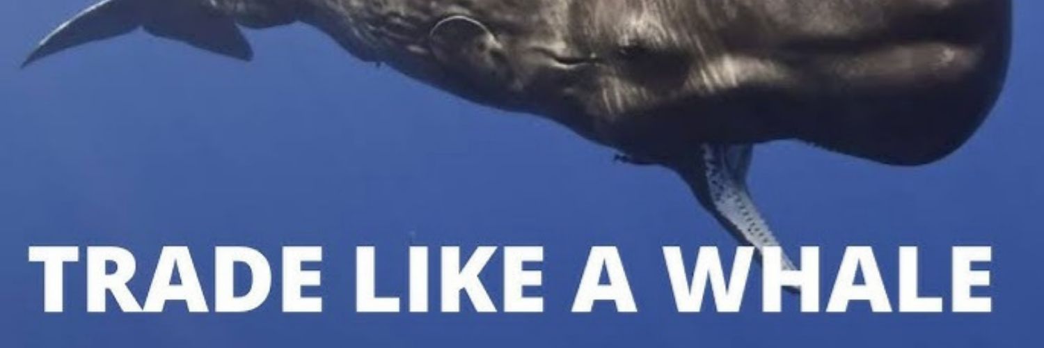 🐳 U Whale 🐳 banner