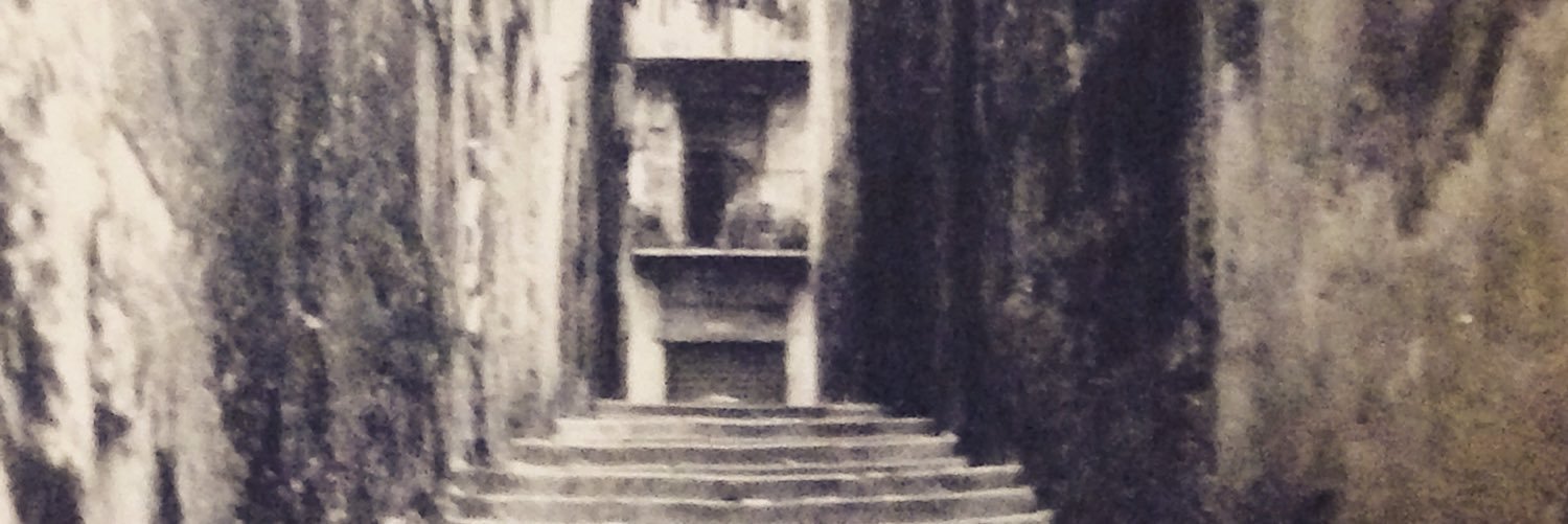 Giorgia  Patricolo banner