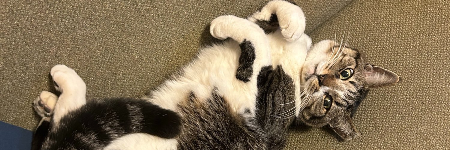 Cat_Crack's profile banner image