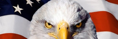 Anti-Chthonic Warrior🇺🇸 banner
