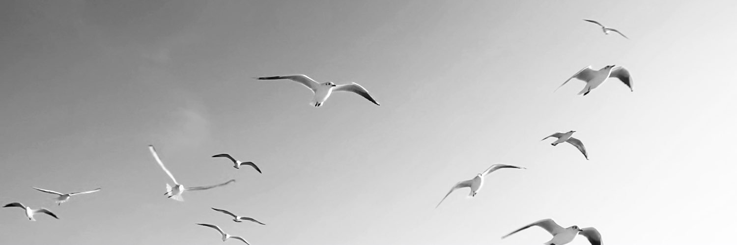 selenadsb's profile banner image