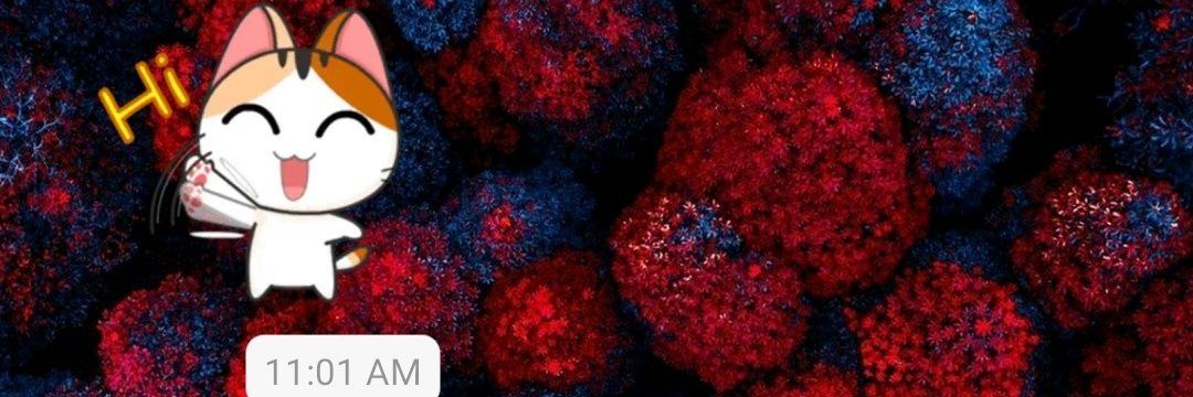 mohdzaaaeim's profile banner image