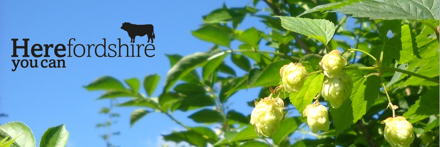 hereyoucan's profile banner image