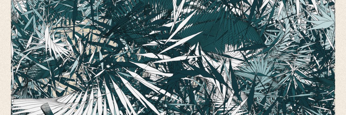 TiaraFesh3981's profile banner image