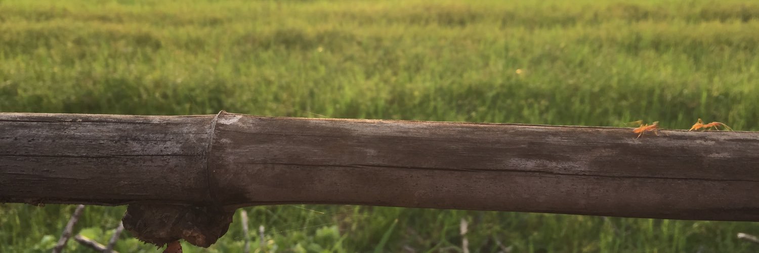 xandyzxc's profile banner image