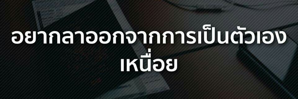 trirabye's profile banner image