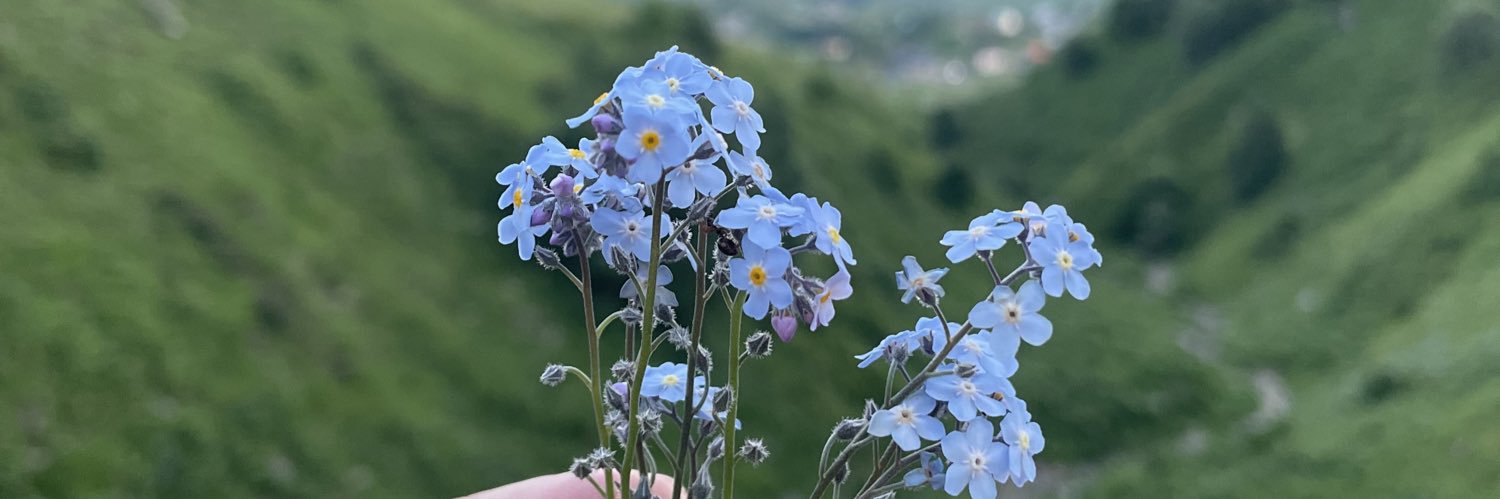 rasheedkmr's profile banner image