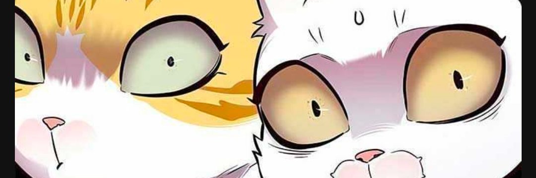 citraWuu's profile banner image