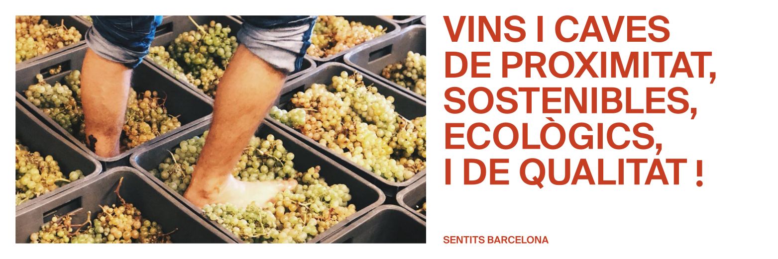 SentitsBCN's profile banner image
