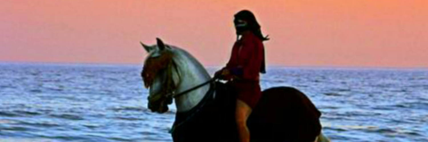 cocanilla's profile banner image