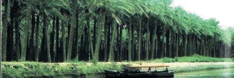 baghdadeagles's profile banner image