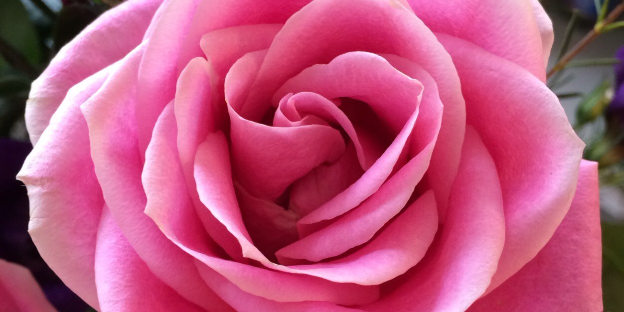 KarolineCheung's profile banner image