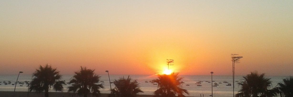 Alejandro Ricas banner