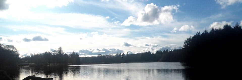 morvanne1's profile banner image