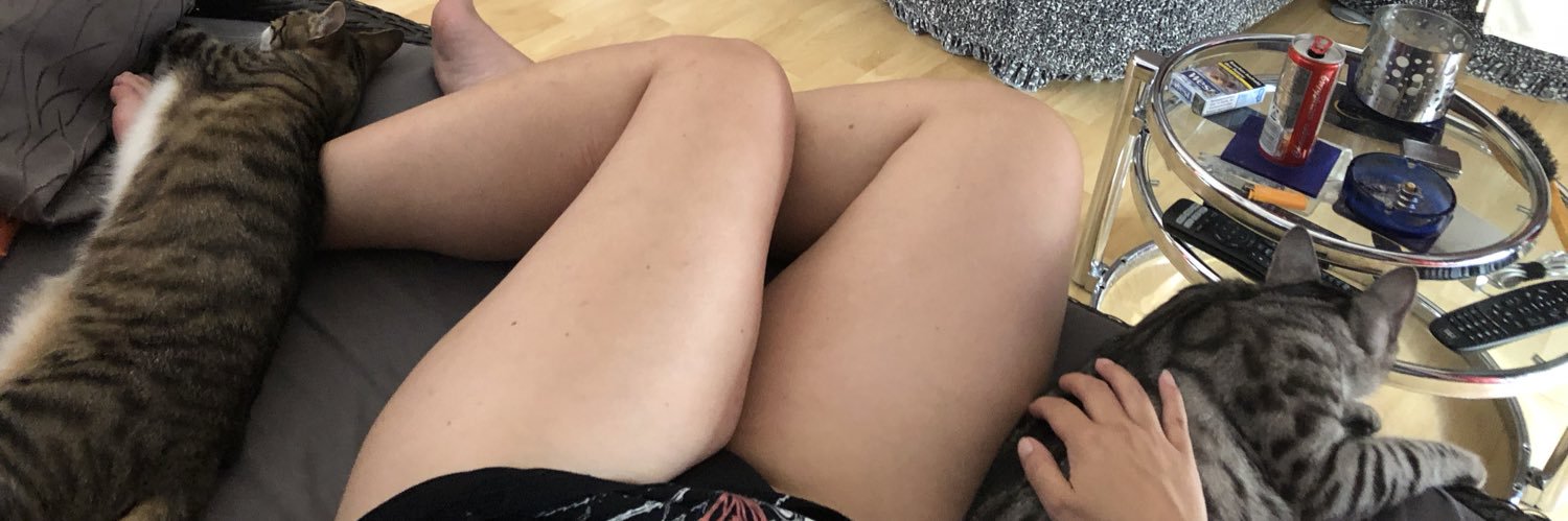 Paincat75's profile banner image