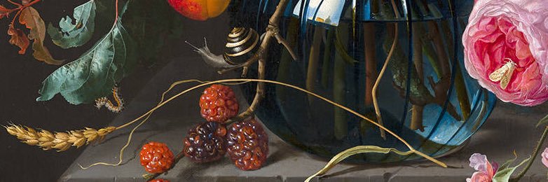 Musa banner
