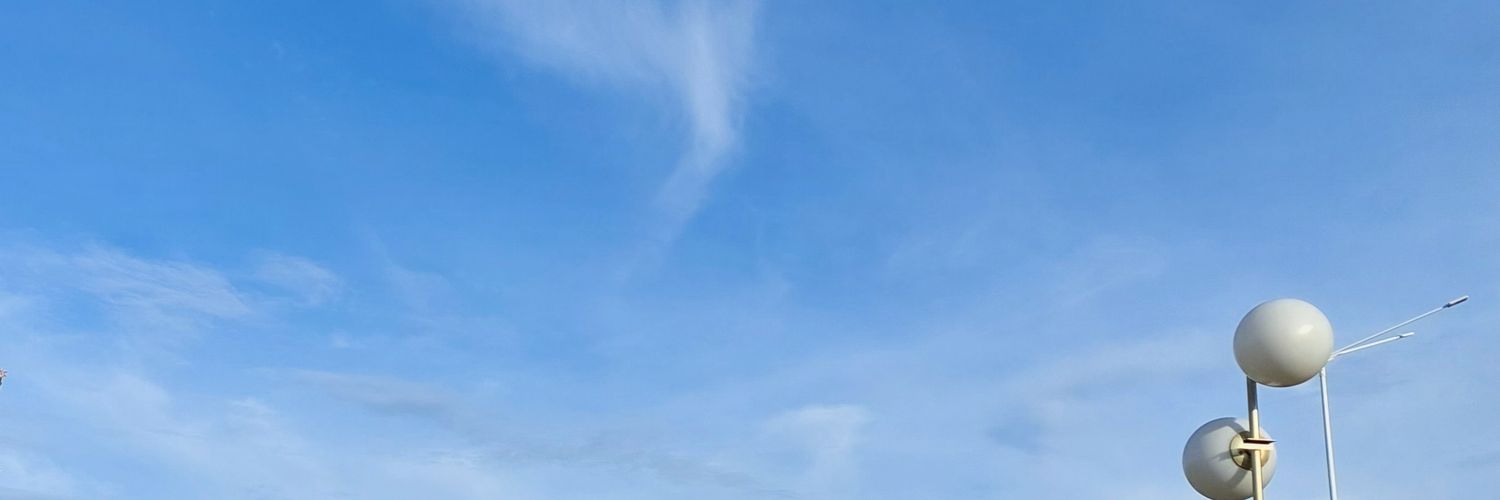 riadizur's profile banner image