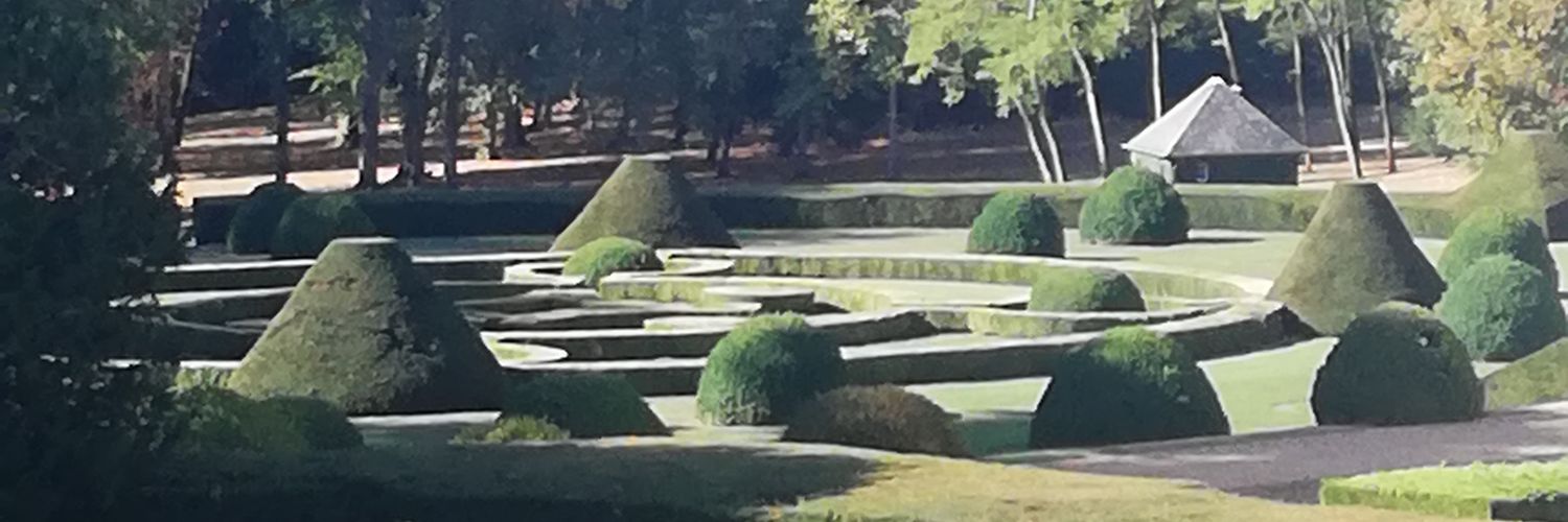 Rob Darracott banner